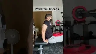 Tr&iacute;ceps Poderosos 🔥#triceps #tricepsworkout #brazosfuertes #entrenamientoencasa ##筋トレ男子