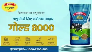 Dayal Cattel Feed | Dayal Pig Feed | Call Now - 9828774448