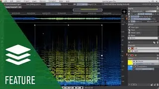 Visual Audio Transformation in SpectraLayers Pro | New Revolutionary Sound Editor