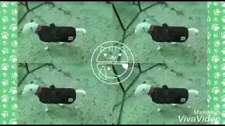 BATAMANTAS para el fr&iacute;o