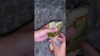 ASMR UNBOXING PAKET KUAS CAT TEMBOK #asmr #unboxing