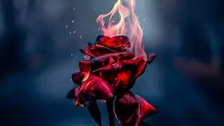 legend boys status boya attitude status hate love status mood off status short video status 😡😡🖕🖕🖕🖕🖕🖕