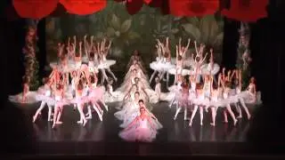 Maria Denner Ballettschule Danceville: Rosenwalzer