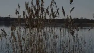 Ringsj&ouml;n 2017
