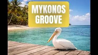 Pelican cool | Chic Sunset Beats | Tropical Nu-Disco & Funk