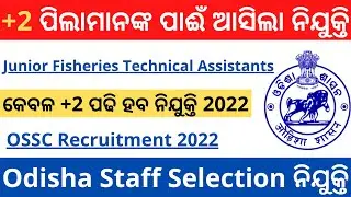 Junior Fisheries Technical Assistants Recruitment 2022 | +2 Level Job in Odisha 2022 |New job odisha