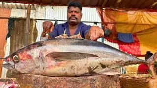 KASIMEDU SPEED SELVAM BIG TUNA FISH CUTTING VIDEO CUTTING FOCUS 