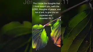Bible verse🥰 #motivation #god #bibleverseoftheday #meaningfulquotes #love#green#leaves#plants#need