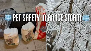 Pet Safety for an Ice Storm : Be Prepared : Prepping for your Pets