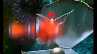 Disney Channel ČR - Promo - Hled&aacute; se Nemo