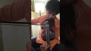 वैष्णव जन तो तेने कहिए जे | Vaishnava Janato Kahiye Je | Mayukh Deka | Violin Cover 