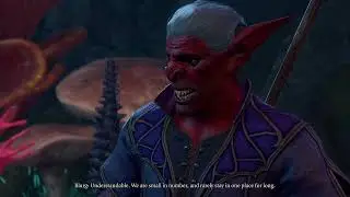 Baldur's Gate 3 - Blurg, Hobgoblin Researcher from Society Brilliance #E385