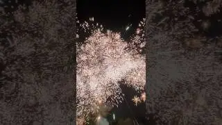 Firework fail #2025 #newyear #viralvideo #fyp #like #comment #subscribe #fireworks