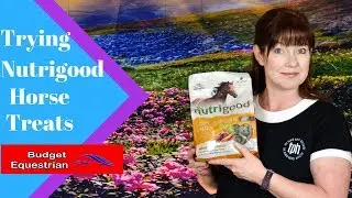 Nutrigood Horse Treat Review
