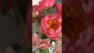 Сезон пионов🌸 #peonies #unpacking
