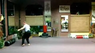 Hua Fist Iron Leg Kung Fu Fun