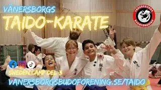 Sweden camp 2025 del 3 #taido #karate #swedencamp ‪@VanersborgsTaido-Karate‬