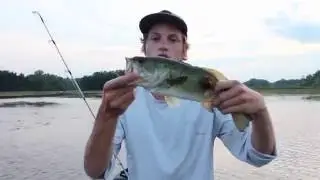 Angler Insight