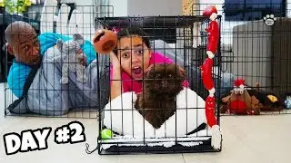 LAST TO LEAVE TIANA'S PUPPY PLAY PEN WINS $1000 Challenge!!