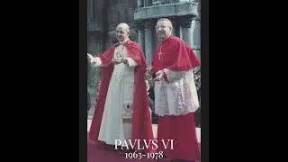 Papas con papas #pioxii #juanpablo #ratzinger #papafrancisco #papaleonxiv #habemuspapam