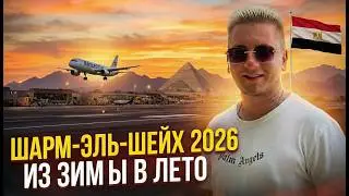ИЗ ЗИМЫ В ЛЕТО ЗА 6 ЧАСОВ | ЛЕТИМ В ШАРМ-ЭЛЬ-ШЕЙХ | 2026