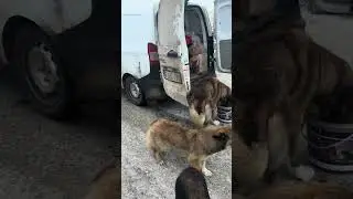 Sevgi para ile satın alamayacağın şeydir sevgi 
