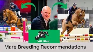 Episode 3: VDL Stud's Wiebe Yde van de Lageweg Provides Mare Breeding Recommendations