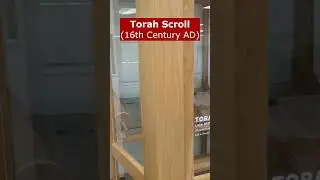 Digging up the Bible - Massive Torah Scroll on display 🤯 #shorts, #bible, #archaeology
