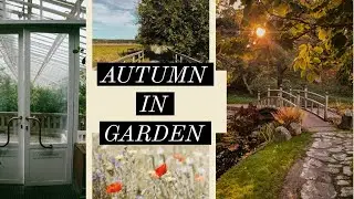 Travel Vlog:: Autumn in the Garden | Walking in Nature Stockholm Sweden