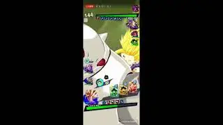 DB LEGENDS PVP AND MORE!