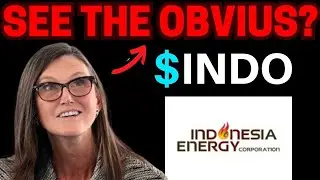 INDO Stock is CRAZY! (what's next?) Indonesia Energy stock broker review