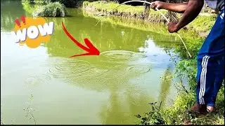 Mastering small single hook fishing |  BEST FISHING BY FISHING ROD #fish #fishing #fishing_adventure