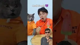 Ger&ccedil;ek arkadaş vs sahte arkadaş challenge #challenge #shorts #cat