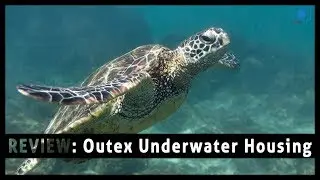 Outex Underwater Camera Housing - Perfect for Travel