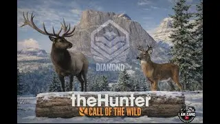 GOLD OR BETTER ARCHERY ELK AND WHITETAIL CHALLENGE ON ASKIY RIDGE EPISODE 3