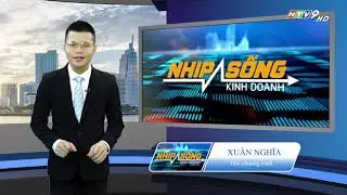 Sự kiện ra mắt Amchain & Hewe tr&ecirc;n HTV9