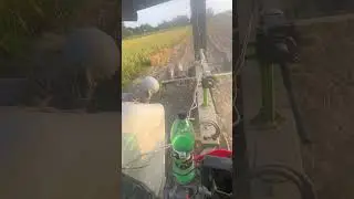 #turbo #farming