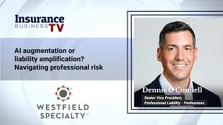 Al augmentation or liability amplification? Navigating professional risk