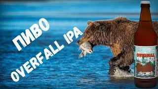 Суровый американский стиль Overfall IPA | Обзор