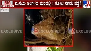 IT Raid In Mysuru | ಕೆ.ಸುಬ್ರಹ್ಮಣ್ಯ ರೈ ಎಂಬುವರ ಮನೆಯ ಅಂಗಳದ ಮರದಲ್ಲಿ 1 ಕೋಟಿ ನಗದು ಪತ್ತೆ? #TV9A