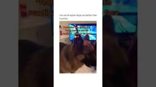 Cute reaction of dog | Dog's reaction after feeling guilty | dog feeling guilty | dog cute video
