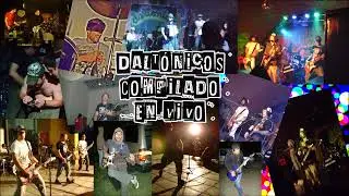 Daltónicos - Compilado en vivo