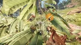 Me & My White Lion Hunt Together  Far Cry Primal Gameplay