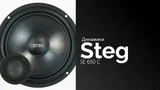 Распаковка динамиков STEG SE 650 C