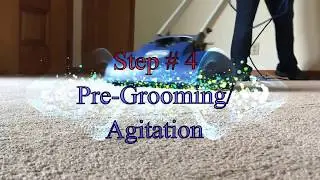Professional Carpet & Oriental Rug Cleaning Company