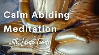 Meditation for Ease and Calm with Lama Tsomo