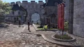 ElderScrolls Blades Town level 10