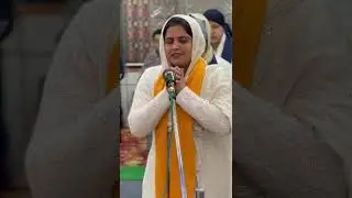 Savvaiye Sewa 13 Jan 2026 at Gurudwara Chowk Kanpur | #gurbani #gurmukhi #waheguru