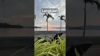 #WhispersOfGarden #ZoomIntoNature #LangkawiViews #PalmTreeParadise #NatureWhispers