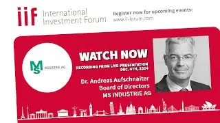 13. IIF - MS Industrie AG